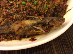 -小姨家常菜(昭萍东路店)