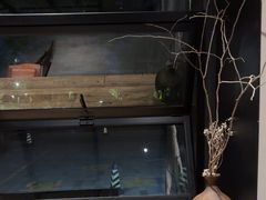 -九月里.自由花园餐厅