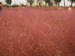 -汉长安城未央宫国家考古遗址公园