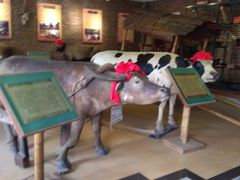 -横沥牛庄(总店)