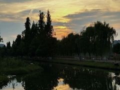 -洋湖国家湿地公园