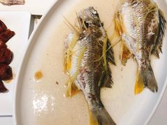 油盐蒸鱼-花城苑广府菜(侨鑫店)