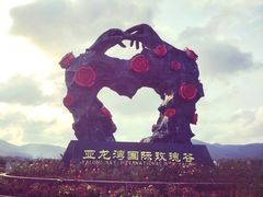 -亚龙湾国际玫瑰谷