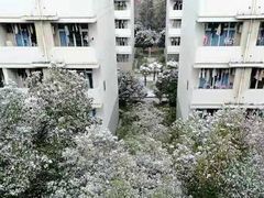 -南京财经大学(仙林校区)