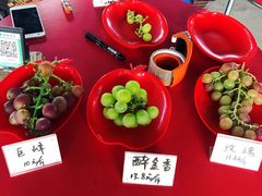 -马陆小张葡萄园农家乐