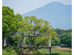 -福建鲤鱼洲酒店