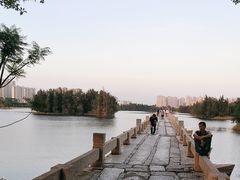 -安平桥