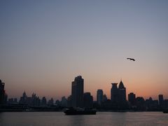 -黄浦江游览快线(金陵东路码头)