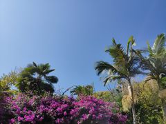 -南诏风情岛