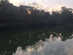 -韶山毛泽东同志故居