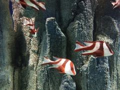 -福州罗源湾海洋世界旅游区