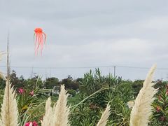 -春花秋色城市公园