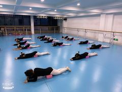 -西安小天鹅艺术团(曲江Alice店)