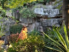 -深圳国际园林花卉博览园