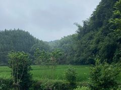-常德桃花源景区