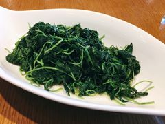 -菩提树·素食餐厅(汇智国际商业中心店)