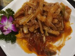 葱烧蹄筋-好妈王饺子(滂江街店)