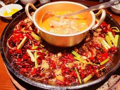 -老板恋上鱼(高新万达店)
