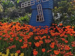 -南宫五洲植物乐园