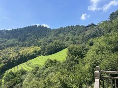 -敬亭山风景名胜区