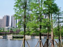 -重庆彩云湖湿地公园