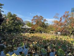 -无锡蠡湖国家湿地公园-蠡园