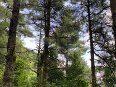 -苍山感通索道