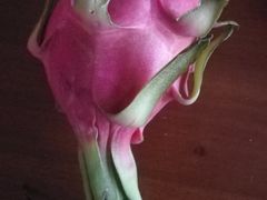 -鲜丰水果(九洲新世界花苑店)