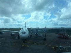 -西沃古尔·拉姆古兰爵士国际机场