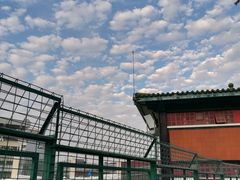 -纪念孙中山市政公园