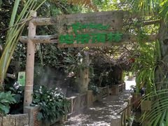 -青青世界