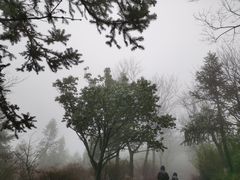 -江南天池