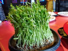 -巴九门老火锅(来福士打望店)