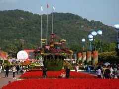 -东南花都花博园