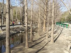 -白水寺森林公园