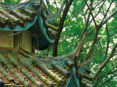 -乌山风景区