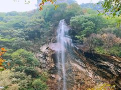 -少华山国家森林公园