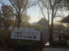 -长兴太湖图影湿地文化园