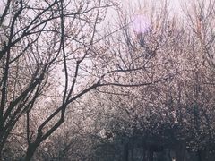-三里河公园