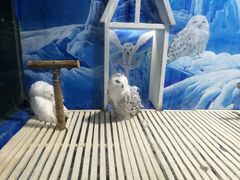 -成都浩海立方海洋公园