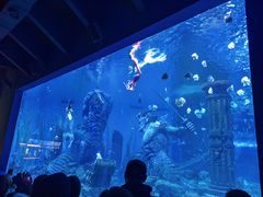 -波塞冬海底世界