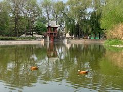 -北京世界公园