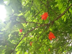 -易生活购物公园