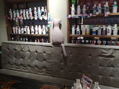 -猫咪博物馆(顶澳仔猫街店)