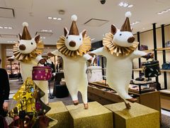 -COACH蔻驰(德基广场店)