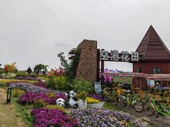 -空港花田景区