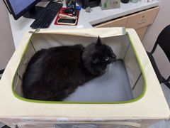 -瑞鹏宠物医院·骨科·猫科·内科(第一中心)
