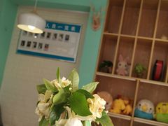 -雨林宠物医院 非犬猫异宠专科