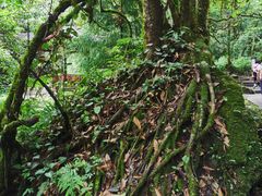 -西岭雪山大飞水景区