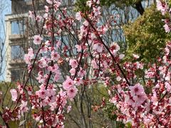 -宁波儿童公园(鄞州区)